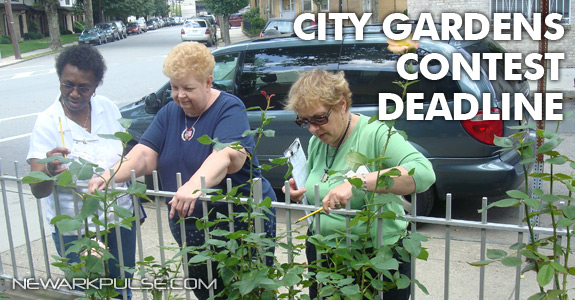 City Gardens Contest Deadline June 8