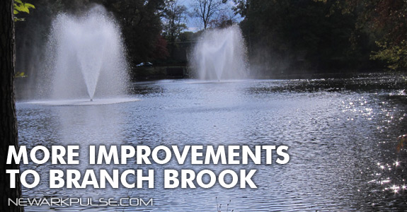 Branch Brook Park Revitalization Plans