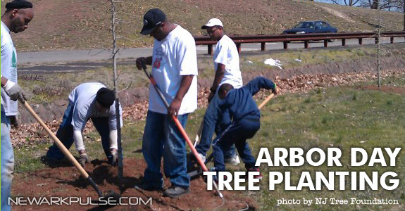 Green Month 2013: Tree Planting