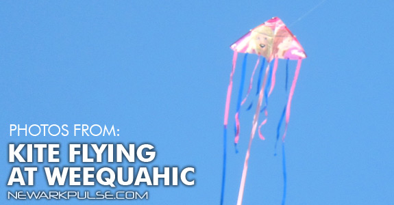 Kite Flying at Weequahic Park 2013