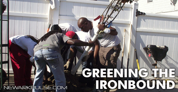 Greening Ironbound by TD Greenstreets