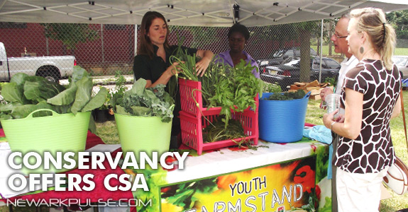 Conservancy Now Offers CSA Program