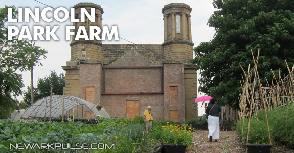 Lincoln Park Farms