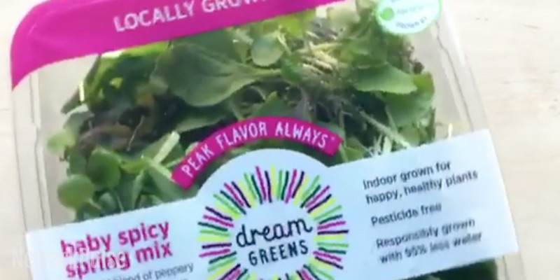 Aerofarms Greens